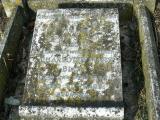 image of grave number 207029